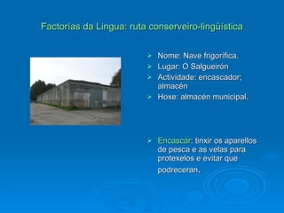 Factorías da Lingua: ruta conserveiro-lingüística Nome: Nave frigorífica. Lugar: O Salgueirón Actividade: encascador; almacén Hoxe: almacén municipal. Encascar : tinxir os aparellos de pesca e as velas para protexelos e evitar que podreceran . 