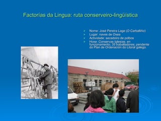 Factorías da Lingua: ruta conserveiro-lingüística Nome: José Pereira Lage (O Carballiño) Lugar: naves de Oxea Actividade: secadoiro de polbos Hoxe: Conservas Iglesias; en funcionamento; 35 traballadores; pendente do Plan de Ordenación do Litoral galego. 