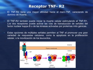 Factor De Necrosis Tumoral (Fnt) | PPT