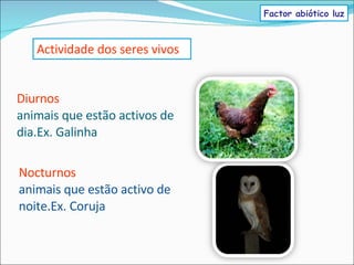Diurnos animais que estão activos de dia.Ex. Galinha Actividade dos seres vivos Nocturnos animais que estão activo de noite.Ex. Coruja Factor abiótico luz 