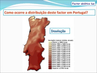 Como ocorre a distribuição deste factor em Portugal? Insolação Factor abiótico luz 