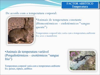 Animais de temperatura constante (Homeotérmicos – endotérmicos “sangue quente”) Temperatura corporal não varia com a temperatura ambiente Ex: aves e mamíferos De acordo com a temperatura corporal: Animais de temperatura variável (Poiquilotérmicos – exotérmicos “sangue frio”) Temperatura corporal varia com a temperatura ambiente Ex: peixes, répteis, anfíbios FACTOR ABIÓTICO Temperatura 
