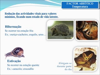 Redução das actividades vitais para valores mínimos, ficando num estado de vida latente. Hibernação Se ocorrer na estação fria Ex.: ouriço-cacheiro, esquilo, urso… Estivação Se ocorrer na estação quente Ex.: caracóis; crocodilo FACTOR ABIÓTICO Temperatura Abrigam-se durante parte do dia 