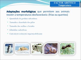 Quantidade de gordura subcutânea Tamanho e densidade dos pêlos Tamanho das orelhas e focinho Glândulas sudoríferas Cutícula/revestimento impermeabilizante FACTOR ABIÓTICO Temperatura Adaptações morfológicas   que permitem aos animais resistir a temperaturas desfavoráveis: (frias ou quentes) 