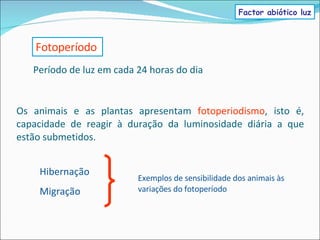 Os animais e as plantas apresentam  fotoperiodismo , isto é, capacidade de reagir à duração da luminosidade diária a que estão submetidos. Fotoperíodo Hibernação Migração Exemplos de sensibilidade dos animais às variações do fotoperíodo Período de luz em cada 24 horas do dia Factor abiótico luz 
