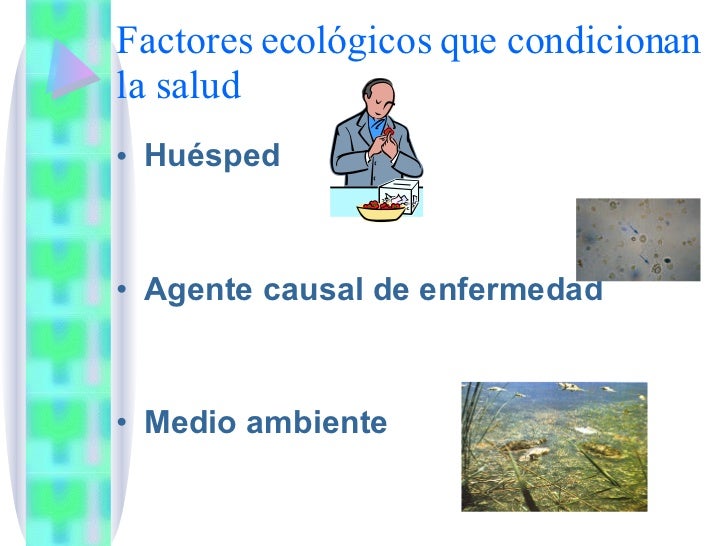 Factores EcolóGicos de la enfermedad