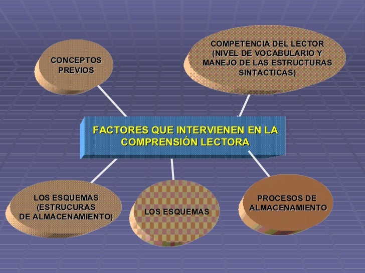 Factores Que Influyen En La Comprension Lectora