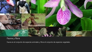 Fauna y flora
Fauna es el conjunto de especies animales y flora el conjunto de especies vegetales.
 
