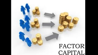 FACTOR
CAPITAL
 