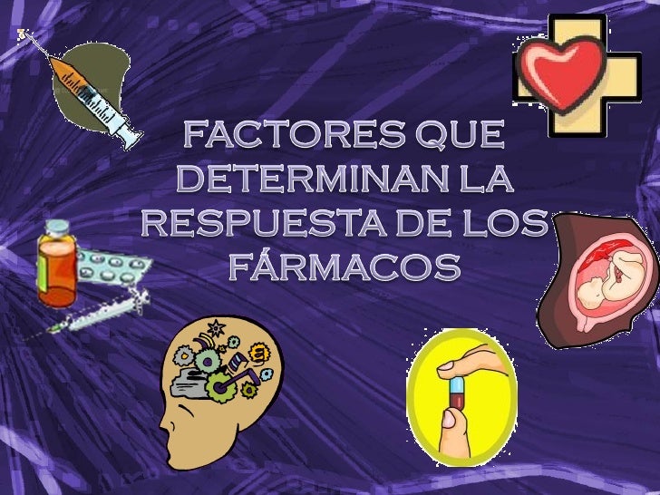metabolismo anabolismo y catabolismo Mentalidad