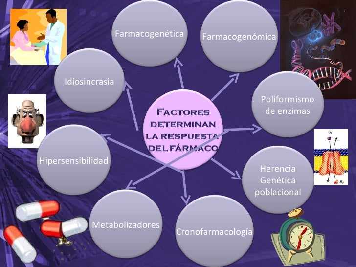 Factores que Modifican Respuesta a fármacos