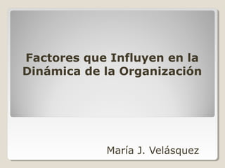 Factores que Influyen en la
Dinámica de la Organización
María J. Velásquez
 