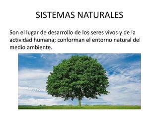 SISTEMAS NATURALES
Son el lugar de desarrollo de los seres vivos y de la
actividad humana; conforman el entorno natural del
medio ambiente.
 