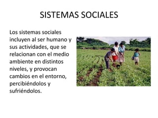 SISTEMAS SOCIALES
Los sistemas sociales
incluyen al ser humano y
sus actividades, que se
relacionan con el medio
ambiente en distintos
niveles, y provocan
cambios en el entorno,
percibiéndolos y
sufriéndolos.
 