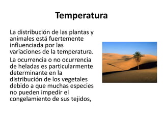 Temperatura
La distribución de las plantas y
animales está fuertemente
influenciada por las
variaciones de la temperatura.
La ocurrencia o no ocurrencia
de heladas es particularmente
determinante en la
distribución de los vegetales
debido a que muchas especies
no pueden impedir el
congelamiento de sus tejidos,
 
