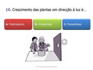 10. Crescimento das plantas em direcção à luz é…
A. Fototropismo. B. Fotoperíodo. C. Fotossíntese.
Prof. Helena Casanova 2010/2011
 