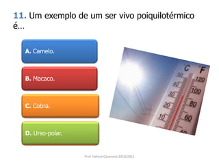 11. Um exemplo de um ser vivo poiquilotérmico
é…
A. Camelo.
B. Macaco.
C. Cobra.
D. Urso-polar.
Prof. Helena Casanova 2010/2011
 