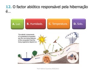 12. O factor abiótico responsável pela hibernação
é…
A. Luz. B. Humidade. C. Temperatura. D. Solo.
Prof. Helena Casanova 2010/2011
 