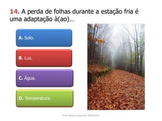 14. A perda de folhas durante a estação fria é
uma adaptação à(ao)…
A. Solo.
B. Luz.
C. Água.
D. Temperatura.
Prof. Helena Casanova 2010/2011
 