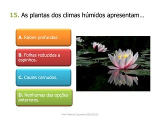 15. As plantas dos climas húmidos apresentam…
A. Raízes profundas.
B. Folhas reduzidas a
espinhos.
C. Caules carnudos.
D. Nenhumas das opções
anteriores.
Prof. Helena Casanova 2010/2011
 