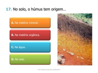 17. No solo, o húmus tem origem…
A. Na matéria mineral.
B. Na matéria orgânica.
C. Na água.
D. No solo.
Prof. Helena Casanova 2010/2011
 