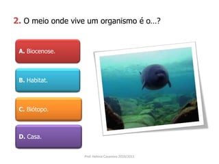2. O meio onde vive um organismo é o…?
A. Biocenose.
B. Habitat.
C. Biótopo.
D. Casa.
Prof. Helena Casanova 2010/2011
 