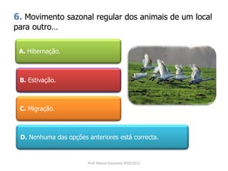 6. Movimento sazonal regular dos animais de um local
para outro…
A. Hibernação.
B. Estivação.
C. Migração.
D. Nenhuma das opções anteriores está correcta.
Prof. Helena Casanova 2010/2011
 