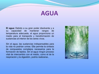 AGUA
El agua: Debido a su gran poder disolvente y a 
su  capacidad  de  mantener  rangos  de 
temperatura  adecuada,  el  agua  proporciona  un 
medio  para  el  transporte  y  transformación  de 
sustancias al interior de los seres vivos.
Sin el agua, las sustancias indispensables para 
la vida no podrían unirse. Ella permite la síntesis 
de  compuestos  complejos  necesarios  para  la 
formación de tejidos. Sin el agua ningún proceso 
vital de intercambio con el medio, como el de la 
respiración y la digestión, podría realizarse..
 