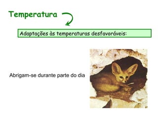 Abrigam-se durante parte do dia
Temperatura
Adaptações às temperaturas desfavoráveis:
 