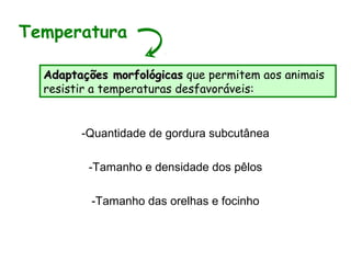 -Quantidade de gordura subcutânea
-Tamanho e densidade dos pêlos
-Tamanho das orelhas e focinho
Temperatura
Adaptações morfológicasAdaptações morfológicas que permitem aos animais
resistir a temperaturas desfavoráveis:
 