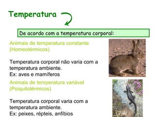 Animais de temperatura constante
(Homeotérmicos)
Temperatura corporal não varia com a
temperatura ambiente.
Ex: aves e mamíferos
Temperatura
De acordo com a temperatura corporal:
Animais de temperatura variável
(Poiquilotérmicos)
Temperatura corporal varia com a
temperatura ambiente.
Ex: peixes, répteis, anfíbios
 