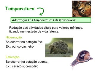 Redução das atividades vitais para valores mínimos,
ficando num estado de vida latente.
Temperatura
Adaptações às temperaturas desfavoráveis:
Hibernação
Se ocorrer na estação fria.
Ex.: ouriço-cacheiro
Estivação
Se ocorrer na estação quente.
Ex.: caracóis; crocodilo
 