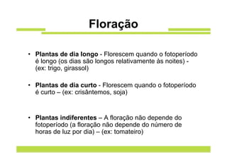 Floração

• Plantas de dia longo - Florescem quando o fotoperíodo
  é longo (os dias são longos relativamente às noites) -
  (ex: trigo, girassol)

• Plantas de dia curto - Florescem quando o fotoperíodo
  é curto – (ex: crisântemos, soja)


• Plantas indiferentes – A floração não depende do
  fotoperíodo (a floração não depende do número de
  horas de luz por dia) – (ex: tomateiro)
 