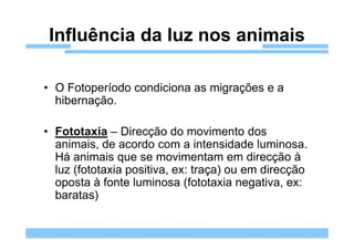 Influência da luz nos animais

• O Fotoperíodo condiciona as migrações e a
  hibernação.

• Fototaxia – Direcção do movimento dos
  animais, de acordo com a intensidade luminosa.
  Há animais que se movimentam em direcção à
  luz (fototaxia positiva, ex: traça) ou em direcção
  oposta à fonte luminosa (fototaxia negativa, ex:
  baratas)
 