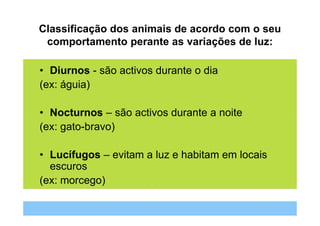 Classificação dos animais de acordo com o seu
 comportamento perante as variações de luz:

• Diurnos - são activos durante o dia
(ex: águia)

• Nocturnos – são activos durante a noite
(ex: gato-bravo)

• Lucífugos – evitam a luz e habitam em locais
  escuros
(ex: morcego)
 