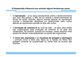 O fotoperíodo influencia nos animais alguns fenómenos como:


• A reprodução – a luz actua directamente sobre o desenvolvimento
  dos ovos dos peixes; a falta de luz retarda o desenvolvimento de
  larvas de certos insectos; alguns animais apenas se reproduzem
  quando o fotoperíodo ultrapassa um determinado valor, outros
  apenas se reproduzem quando os dias são curtos.

• A formação de vitamina D ao nível da pele – os raios ultra-violeta
  são responsáveis pela produção de vitamina D na pele dos
  vertebrados. No entanto, quando em excesso, esses mesmos raios
  podem ter efeitos muito prejudiciais na saúde dos organismos.

• O início das migrações e da mudança de pelagem e plumagem
  – animais como a lebre dos Alpes ou a raposa do Ártico têm
  pelagem cinzenta ou acastanhada no Verão mas no Inverno são
  brancos
 