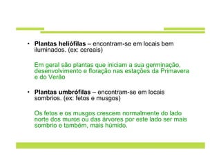• Plantas heliófilas – encontram-se em locais bem
  iluminados. (ex: cereais)

  Em geral são plantas que iniciam a sua germinação,
  desenvolvimento e floração nas estações da Primavera
  e do Verão

• Plantas umbrófilas – encontram-se em locais
  sombrios. (ex: fetos e musgos)

  Os fetos e os musgos crescem normalmente do lado
  norte dos muros ou das árvores por este lado ser mais
  sombrio e também, mais húmido.
 