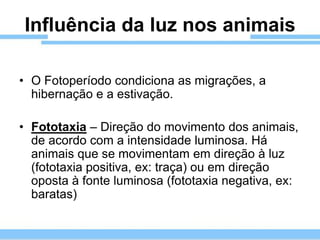 Influência da luz nos animais

• O Fotoperíodo condiciona as migrações, a
  hibernação e a estivação.

• Fototaxia – Direção do movimento dos animais,
  de acordo com a intensidade luminosa. Há
  animais que se movimentam em direção à luz
  (fototaxia positiva, ex: traça) ou em direção
  oposta à fonte luminosa (fototaxia negativa, ex:
  baratas)
 