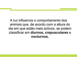A luz influencia o comportamento dos
 animais que, de acordo com a altura do
dia em que estão mais activos, se podem
classificar em diurnos, crepusculares e
                nocturnos.
 
