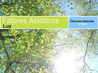 Fatores Abióticos   Ciências Naturais
                          8º ano
Luz
 