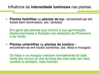 Influência da intensidade luminosa nas plantas


• Plantas heliófilas ou plantas de luz– encontram-se em
  locais bem iluminados. (ex: cereais)

  Em geral são plantas que iniciam a sua germinação,
  desenvolvimento e floração nas estações da Primavera
  e do Verão

• Plantas umbrófilas ou plantas de sombra –
  encontram-se em locais sombrios. (ex: fetos e musgos)

  Os fetos e os musgos crescem normalmente do lado
  norte dos muros ou das árvores por este lado ser mais
  sombrio e também, mais húmido.
 