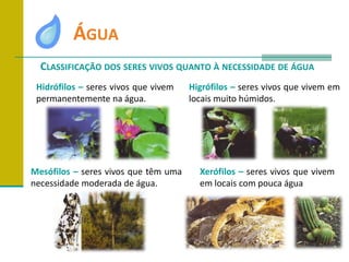 	ÁguaClassificação dos seres vivos quanto à necessidade de águaHidrófilos – seres vivos que vivem permanentemente na água.Higrófilos – seres vivos que vivem em locais muito húmidos.Mesófilos – seres vivos que têm uma necessidade moderada de água.Xerófilos – seres vivos que vivem em locais com pouca água