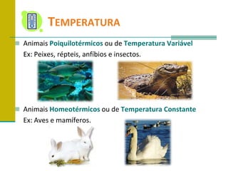 	TemperaturaAnimais Poiquilotérmicos ou de Temperatura VariávelEx: Peixes, répteis, anfíbios e insectos.Animais Homeotérmicos ou de Temperatura Constante	Ex: Aves e mamíferos.
