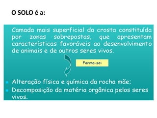 O SOLO é a: