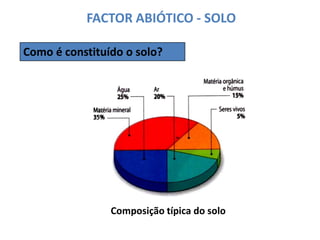 FACTOR ABIÓTICO - SOLOComo é constituído o solo?Composição típica do solo