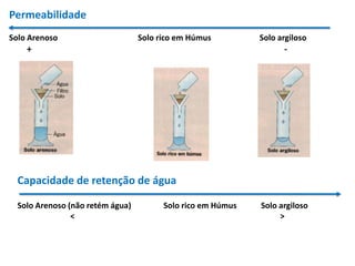 PermeabilidadeSolo Arenoso 	  	           Solo rico em Húmus           	 Solo argiloso        +							            - Capacidade de retenção de águaSolo Arenoso (não retém água) 	  Solo rico em Húmus            Solo argiloso                           < 						       >      	