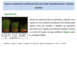 Quais as substancias nutritivas do solo com maior importância para a vida das plantas? Experiência BFizeram-se culturas de trigo em laboratório, utilizando como suporte um meio artificial (normalmente não utilizado pelas plantas, como, por exemplo, o algodão). Na experiência dois vasos foram regados com diferentes soluções nutritivas e o terceiro foi regado com água destilada. A figura mostra os resultados obtidos.Legenda: N - Azoto; P - Fósforo; K - Potássio; Ca - Cálcio; Na - Sódio; Mg - Magnésio; Fe - Ferro; S -  Enxofre.