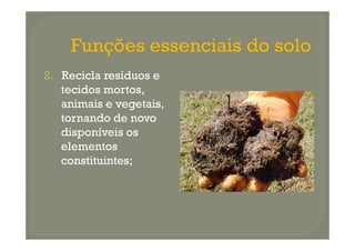 2. Recicla resíduos e
   tecidos mortos,
   animais e vegetais,
   tornando de novo
   disponíveis os
   elementos
   constituintes;
 