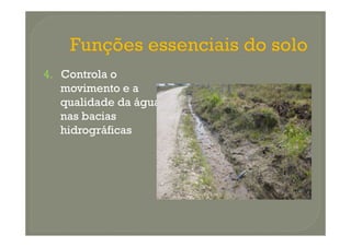 4. Controla o
   movimento e a
   qualidade da água
   nas bacias
   hidrográficas
 