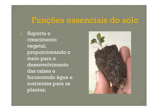 1. Suporta o
   crescimento
   vegetal,
   proporcionando o
   meio para o
   desenvolvimento
   das raízes e
   fornecendo água e
   nutrientes para as
   plantas;
 